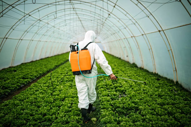 Professional Pest Control in Westmont, PA