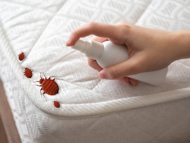Best Local Pest Control Services  in Westmont, PA