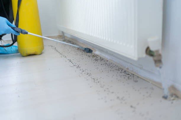 Pest Prevention Services in Westmont, PA